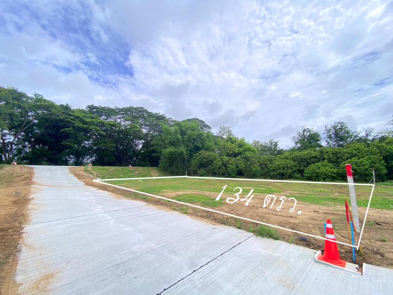 ที่ดิน 333000 เชียงใหม่ สารภี ขัวมุง ที่ดิน 333000 เชียงใหม่ สารภี ขัวมุง