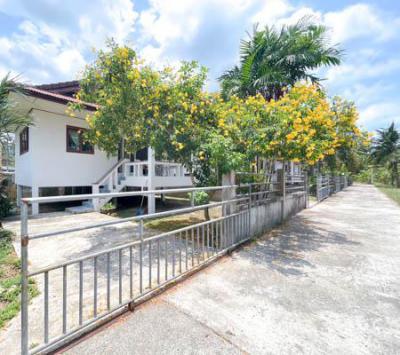 บ้านเดี่ยว 13000 สุราษฎร์ธานี เกาะสมุย แม่น้ำ