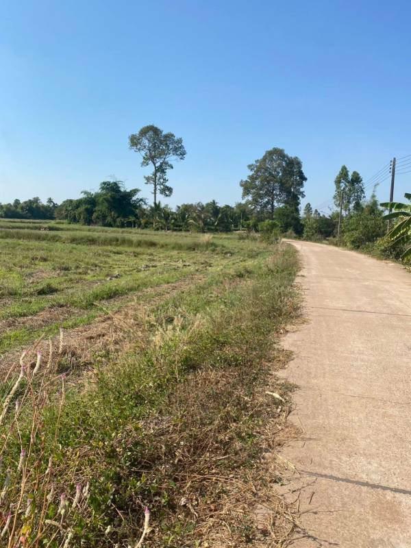 ที่ดิน 400000 ปราจีนบุรี ศรีมหาโพธิ หนองโพรง ที่ดิน 400000 ปราจีนบุรี ศรีมหาโพธิ หนองโพรง