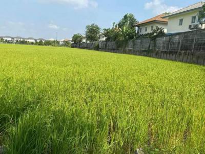 ที่ดิน 15000000 ปทุมธานี เมืองปทุมธานี บางคูวัด