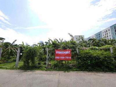 ที่ดิน 88830600 กรุงเทพมหานคร เขตบางกอกใหญ่ วัดท่าพระ