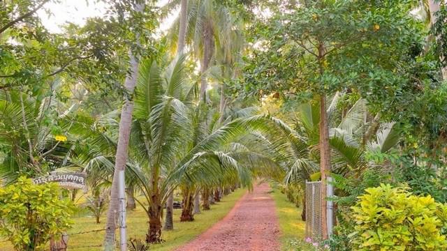 ที่ดิน 3500000 ประจวบคีรีขันธ์ บางสะพานน้อย ทรายทอง ที่ดิน 3500000 ประจวบคีรีขันธ์ บางสะพานน้อย ทรายทอง