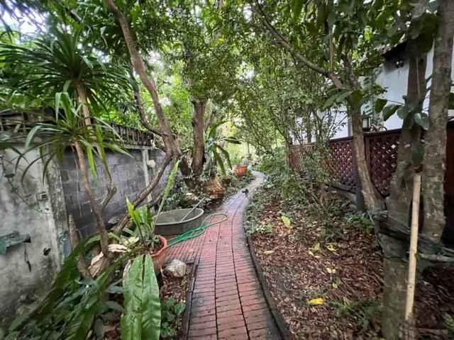 บ้านเดี่ยว 1860000000 กรุงเทพมหานคร เขตวัฒนา คลองเตยเหนือ บ้านเดี่ยว 1860000000 กรุงเทพมหานคร เขตวัฒนา คลองเตยเหนือ