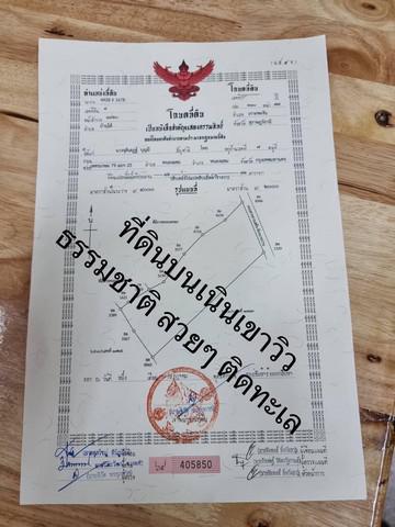 ที่ดิน 16000000 สุราษฎร์ธานี เกาะพะงัน บ้านใต้