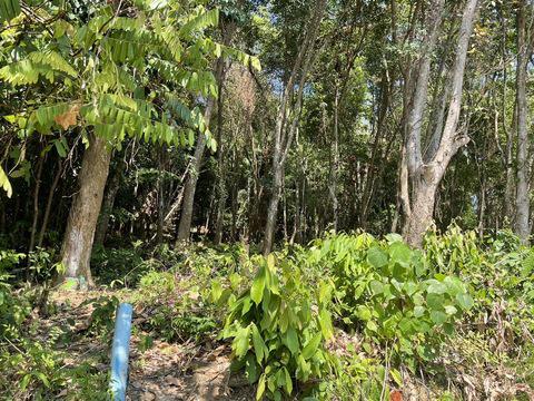 ที่ดิน 36000000 ภูเก็ต เมืองภูเก็ต เกาะแก้ว ที่ดิน 36000000 ภูเก็ต เมืองภูเก็ต เกาะแก้ว