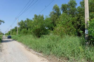 ที่ดิน 600000 นนทบุรี ไทรน้อย ขุนศรี
