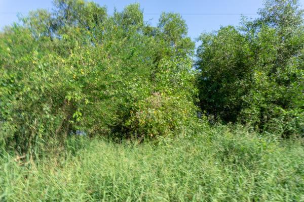 ที่ดิน 600000 นนทบุรี ไทรน้อย ขุนศรี