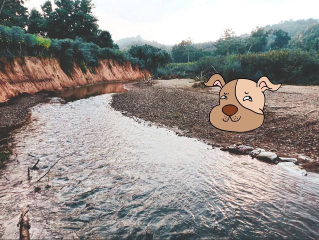 ที่ดิน 800000 น่าน สันติสุข ดู่พงษ์ ที่ดิน 800000 น่าน สันติสุข ดู่พงษ์