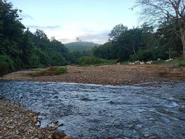ที่ดิน 800000 น่าน สันติสุข ดู่พงษ์ ที่ดิน 800000 น่าน สันติสุข ดู่พงษ์