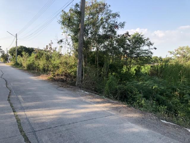 ที่ดิน 800000 ปทุมธานี ลาดหลุมแก้ว บ่อเงิน ที่ดิน 800000 ปทุมธานี ลาดหลุมแก้ว บ่อเงิน