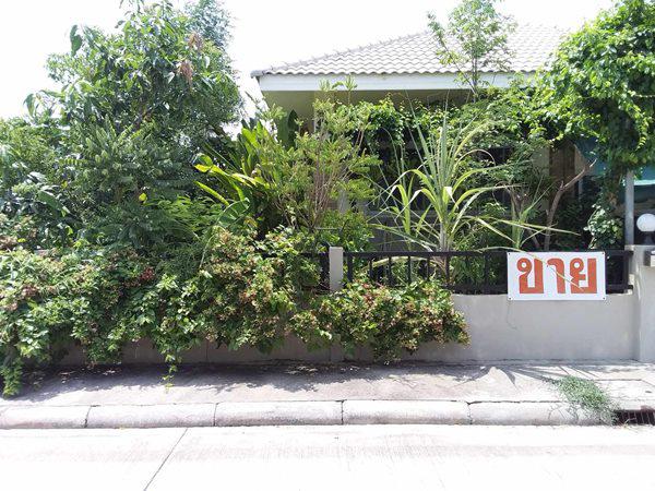 บ้านเดี่ยว 1650000 หนองคาย เมืองหนองคาย วัดธาตุ บ้านเดี่ยว 1650000 หนองคาย เมืองหนองคาย วัดธาตุ