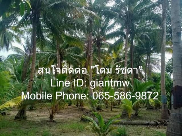 ที่ดิน 2100000 ประจวบคีรีขันธ์ กุยบุรี สามกระทาย ที่ดิน 2100000 ประจวบคีรีขันธ์ กุยบุรี สามกระทาย
