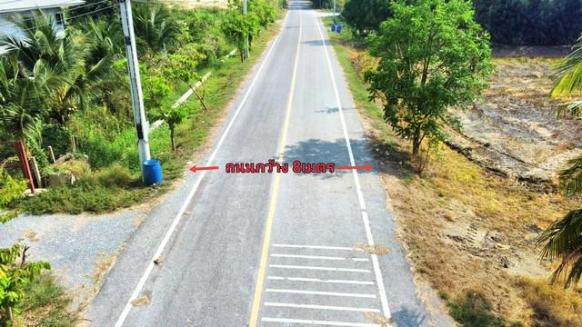 ที่ดิน 3600000 นนทบุรี ไทรน้อย ไทรใหญ่ ที่ดิน 3600000 นนทบุรี ไทรน้อย ไทรใหญ่