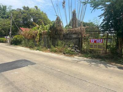 ที่ดิน 15158000 ปทุมธานี ลำลูกกา คูคต