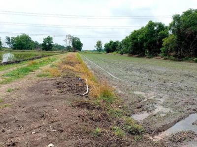 ที่ดิน 450000 ปทุมธานี หนองเสือ หนองสามวัง