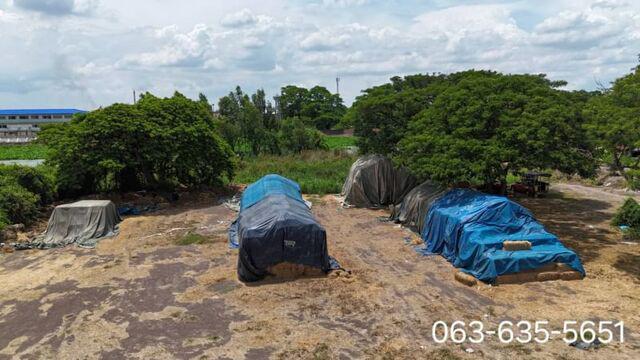 ที่ดิน 12500000 พระนครศรีอยุธยา บางไทร แคตก ที่ดิน 12500000 พระนครศรีอยุธยา บางไทร แคตก