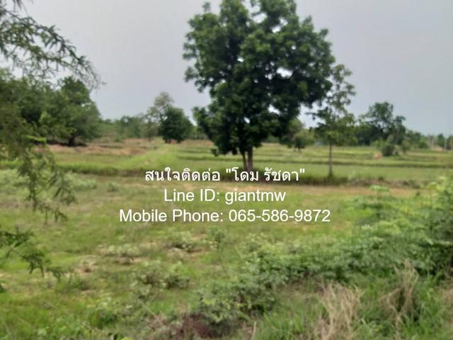 ที่ดิน 16890300 ชัยภูมิ เมืองชัยภูมิ บ้านเล่า ที่ดิน 16890300 ชัยภูมิ เมืองชัยภูมิ บ้านเล่า