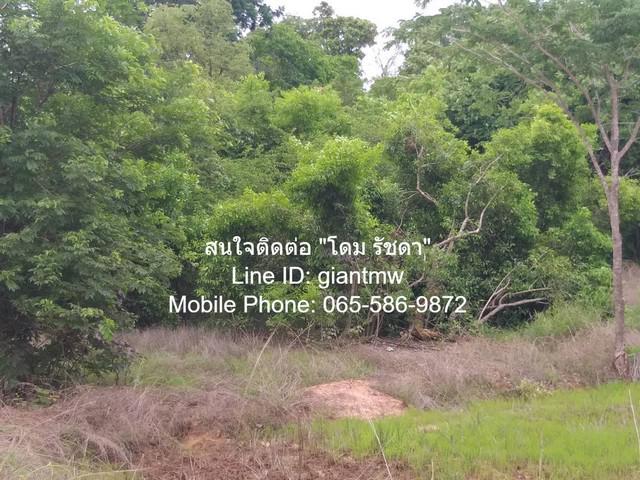 ที่ดิน 16890300 ชัยภูมิ เมืองชัยภูมิ บ้านเล่า ที่ดิน 16890300 ชัยภูมิ เมืองชัยภูมิ บ้านเล่า