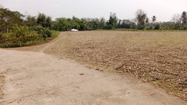 ที่ดิน 2600000 แพร่ สอง บ้านหนุน ที่ดิน 2600000 แพร่ สอง บ้านหนุน