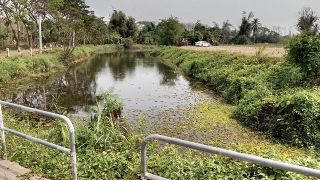 ที่ดิน 2600000 แพร่ สอง บ้านหนุน ที่ดิน 2600000 แพร่ สอง บ้านหนุน