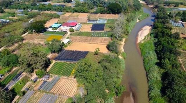 ที่ดิน 8500000 เชียงใหม่ แม่ริม สันโป่ง ที่ดิน 8500000 เชียงใหม่ แม่ริม สันโป่ง