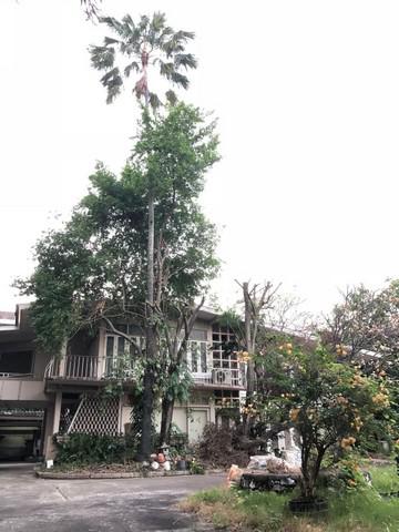 ที่ดิน 107170000 กรุงเทพมหานคร เขตพญาไท สามเสนใน ที่ดิน 107170000 กรุงเทพมหานคร เขตพญาไท สามเสนใน