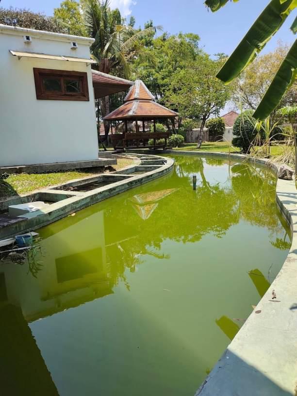 บ้านเดี่ยว 22000000 เชียงใหม่ สันทราย สันนาเม็ง บ้านเดี่ยว 22000000 เชียงใหม่ สันทราย สันนาเม็ง