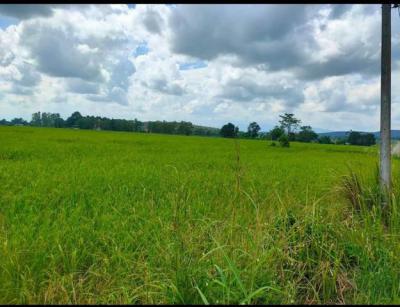 ที่ดิน 6750000 เชียงราย พาน เจริญเมือง