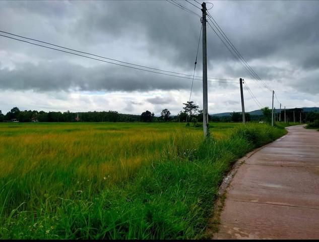 ที่ดิน 6750000 เชียงราย พาน เจริญเมือง ที่ดิน 6750000 เชียงราย พาน เจริญเมือง