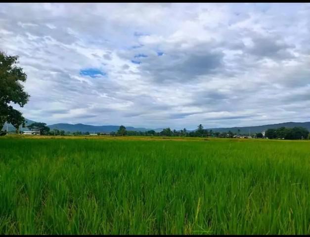 ที่ดิน 6750000 เชียงราย พาน เจริญเมือง ที่ดิน 6750000 เชียงราย พาน เจริญเมือง