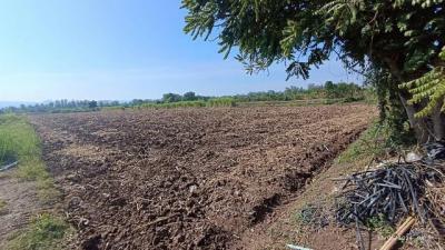 ที่ดิน 6900000 เพชรบูรณ์ เมืองเพชรบูรณ์ นาป่า