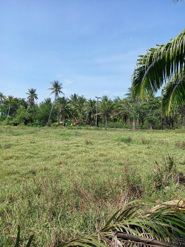 ที่ดิน 15000000 ชุมพร เมืองชุมพร ท่ายาง ที่ดิน 15000000 ชุมพร เมืองชุมพร ท่ายาง