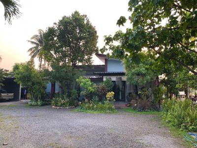 บ้านเดี่ยว 8500000 เชียงใหม่ สันทราย หนองจ๊อม