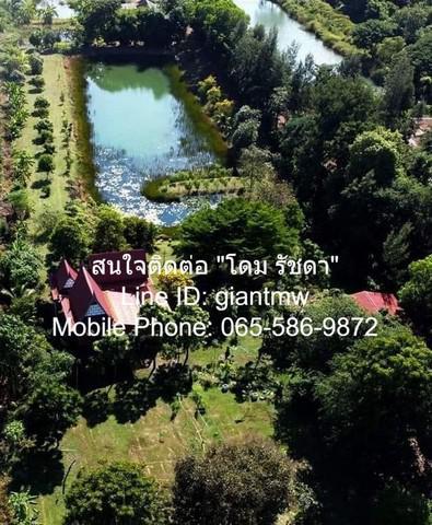 คอนโด 1650000 กรุงเทพมหานคร เขตลาดพร้าว จรเข้บัว