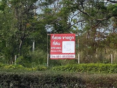ที่ดิน 20800000 เชียงใหม่ หางดง หางดง