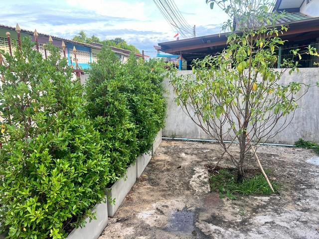บ้านเดี่ยว 9000 ระยอง เมืองระยอง เชิงเนิน บ้านเดี่ยว 9000 ระยอง เมืองระยอง เชิงเนิน