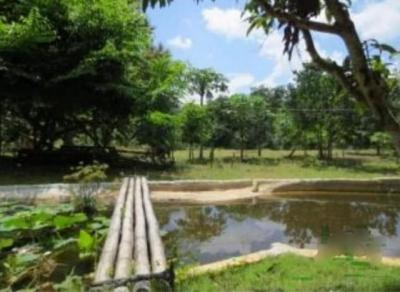 บ้านเดี่ยว 3500000 เชียงใหม่ ดอยสะเก็ด แม่โป่ง