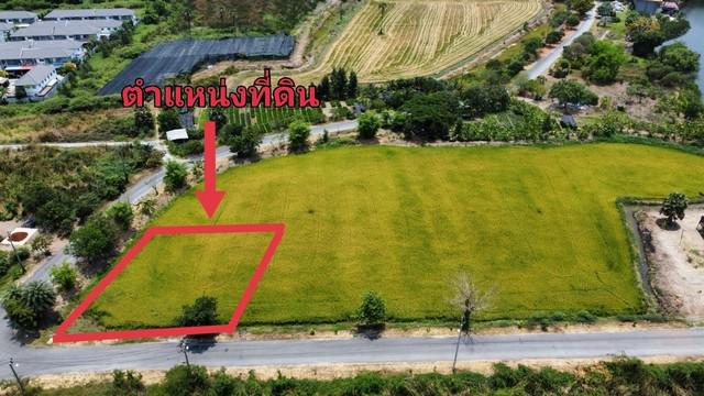 ที่ดิน 7990000 นนทบุรี บางใหญ่ บางม่วง ที่ดิน 7990000 นนทบุรี บางใหญ่ บางม่วง
