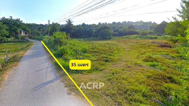 ที่ดิน 4300000 เชียงใหม่ แม่ริม ห้วยทราย ที่ดิน 4300000 เชียงใหม่ แม่ริม ห้วยทราย