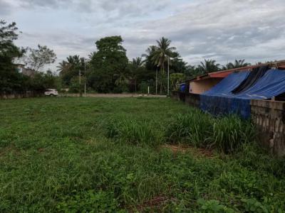 ที่ดิน 5900000 ชุมพร ปะทิว สะพลี