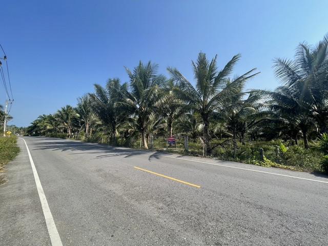 ที่ดิน 4100000 นครศรีธรรมราช ขนอม ควนทอง ที่ดิน 4100000 นครศรีธรรมราช ขนอม ควนทอง