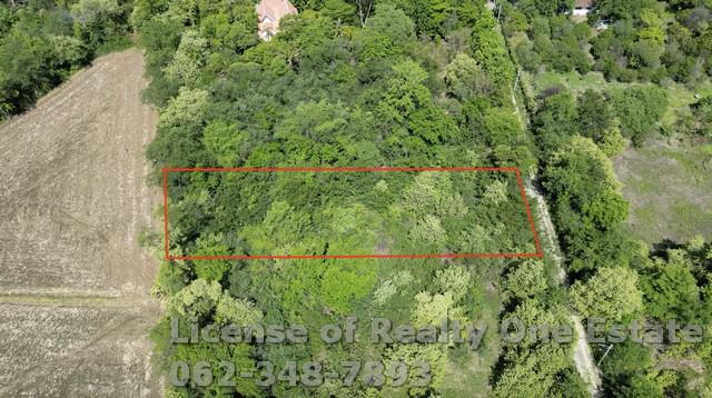 ที่ดิน 600000 พระนครศรีอยุธยา ภาชี โคกม่วง