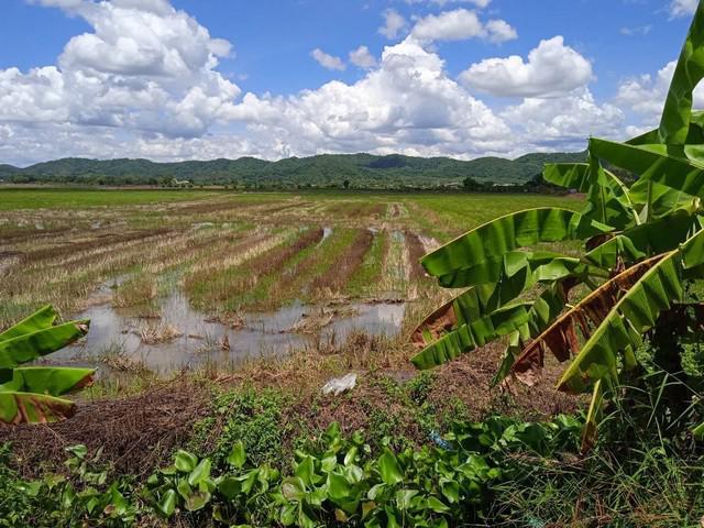 ที่ดิน 950000 เชียงราย เวียงชัย เวียงชัย ที่ดิน 950000 เชียงราย เวียงชัย เวียงชัย