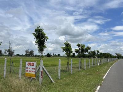 ที่ดิน 5000000 สุรินทร์ เมืองสุรินทร์ สำโรง