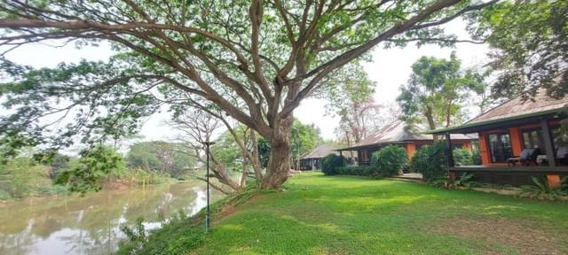 บ้านเดี่ยว 50000000 เชียงใหม่ สารภี ยางเนิ้ง บ้านเดี่ยว 50000000 เชียงใหม่ สารภี ยางเนิ้ง