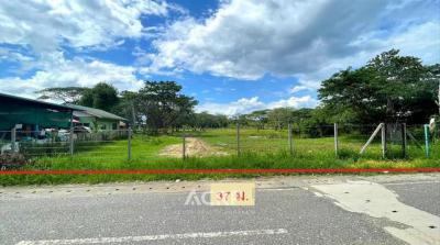 ที่ดิน 21920400 เชียงใหม่ สันทราย หนองหาร