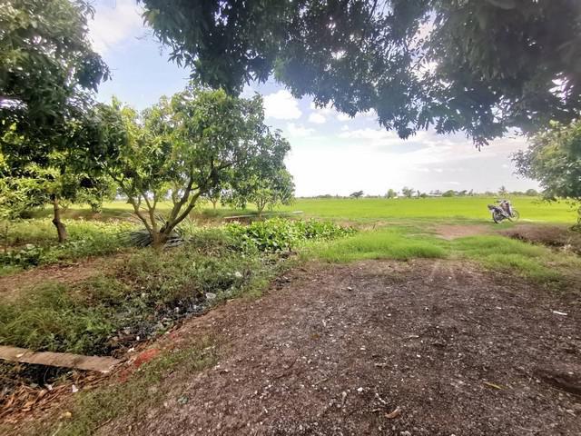 ที่ดิน 13616000 สุพรรณบุรี เมืองสุพรรณบุรี ดอนตาล ที่ดิน 13616000 สุพรรณบุรี เมืองสุพรรณบุรี ดอนตาล