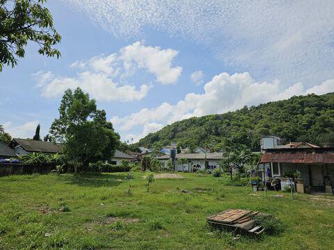 ที่ดิน 250000 ภูเก็ต เมืองภูเก็ต กะรน ที่ดิน 250000 ภูเก็ต เมืองภูเก็ต กะรน