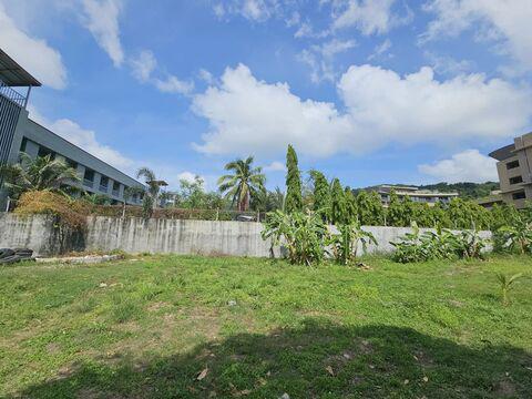 ที่ดิน 250000 ภูเก็ต เมืองภูเก็ต กะรน ที่ดิน 250000 ภูเก็ต เมืองภูเก็ต กะรน