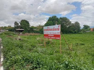ที่ดิน 1750000 พะเยา กิ่งอำเภอภูกามยาว ดงเจน